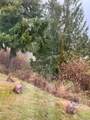 201 Harmony Lane - Photo 33