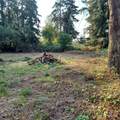 1257 Yew Street - Photo 3