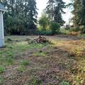 1257 Yew Street - Photo 4