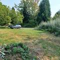 1257 Yew Street - Photo 10