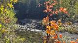 0 20&22 Teanaway Middle Fork Road - Photo 2