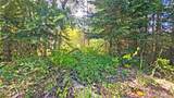 0 20&22 Teanaway Middle Fork Road - Photo 13