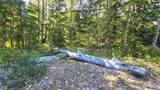 0 20&22 Teanaway Middle Fork Road - Photo 14