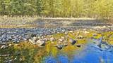 0 20&22 Teanaway Middle Fork Road - Photo 3