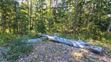 0 20&22 Teanaway Middle Fork Road - Photo 21
