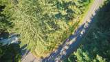 10423 Lake Josephine Boulevard - Photo 4