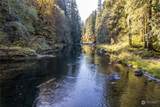 8475 Kalama River Road - Photo 29