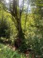 93 xx Meadowbrook Way - Photo 3
