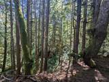 99992 Dowans Creek Road - Photo 37