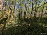 99993 Dowans Creek Road - Photo 15