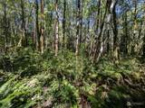 99993 Dowans Creek Road - Photo 16