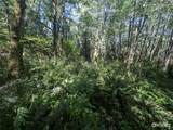 99993 Dowans Creek Road - Photo 18
