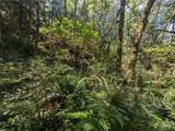 99993 Dowans Creek Road - Photo 19