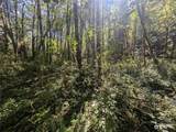 99993 Dowans Creek Road - Photo 23