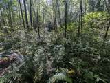 99993 Dowans Creek Road - Photo 24