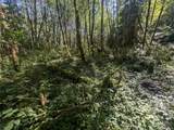 99993 Dowans Creek Road - Photo 26