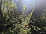 99993 Dowans Creek Road - Photo 28