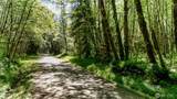 99993 Dowans Creek Road - Photo 4