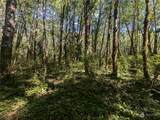 99993 Dowans Creek Road - Photo 32