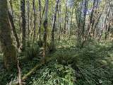 99993 Dowans Creek Road - Photo 34