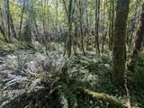 99993 Dowans Creek Road - Photo 35