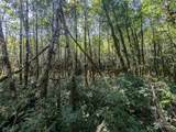 99993 Dowans Creek Road - Photo 38