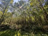 99993 Dowans Creek Road - Photo 7