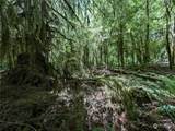 99994 Dowans Creek Road - Photo 13