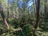 99994 Dowans Creek Road - Photo 18