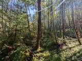 99994 Dowans Creek Road - Photo 19