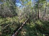 99994 Dowans Creek Road - Photo 20