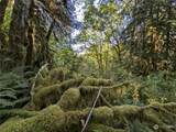 99994 Dowans Creek Road - Photo 23