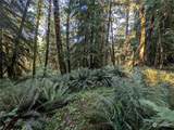 99994 Dowans Creek Road - Photo 24