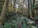99994 Dowans Creek Road - Photo 25