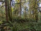 99994 Dowans Creek Road - Photo 27
