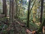 99994 Dowans Creek Road - Photo 28