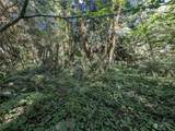 99994 Dowans Creek Road - Photo 32