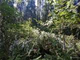 99994 Dowans Creek Road - Photo 33