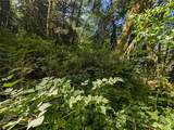99994 Dowans Creek Road - Photo 34