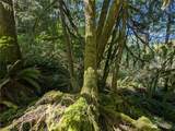 99994 Dowans Creek Road - Photo 35