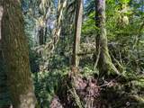 99994 Dowans Creek Road - Photo 36