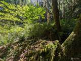 99994 Dowans Creek Road - Photo 37
