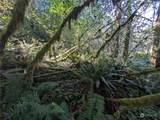 99994 Dowans Creek Road - Photo 38