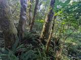 99994 Dowans Creek Road - Photo 39