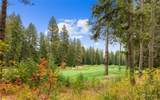 1251 Pinegrass Loop - Photo 3