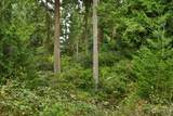 0 Lot D Saratoga Road - Photo 14