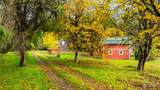 27313 121st Street - Photo 34