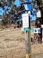 0 Lot 36 Bluebird Ridge - Photo 2