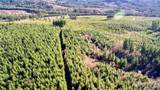 3 Jones Creek Road - Photo 24