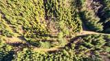 3 Jones Creek Road - Photo 5